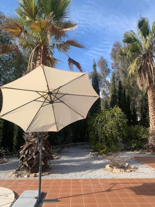 Last Chance For Spring In Competa, Malaga! Apartamento *