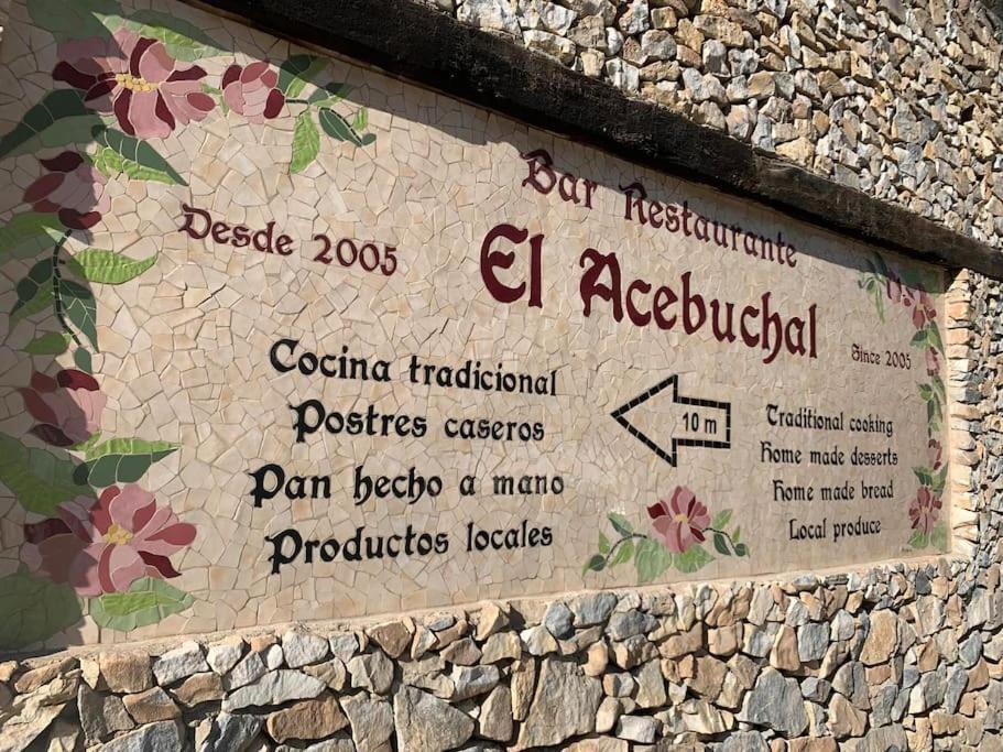 Last Chance For Spring In Competa, Malaga! Málaga