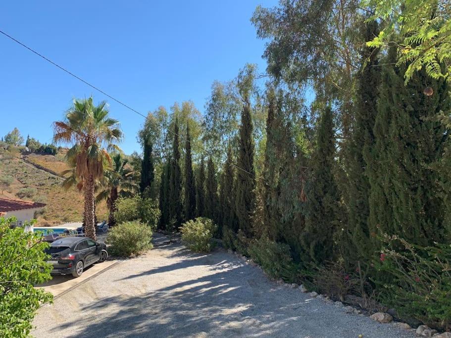 Last Chance For Spring In Competa, Malaga! * Málaga