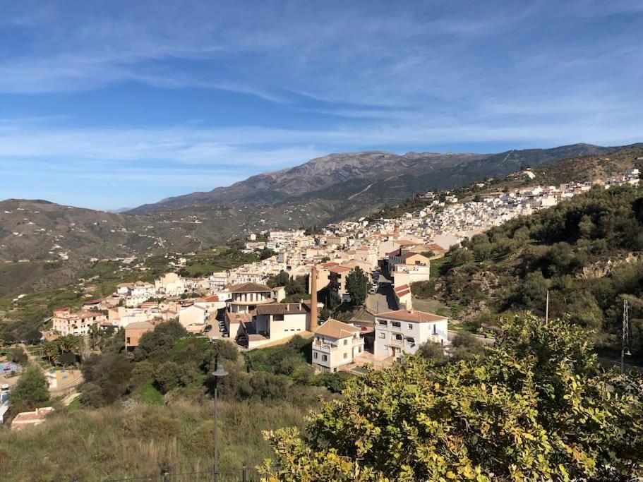Last Chance For Spring In Competa, Malaga! * Málaga