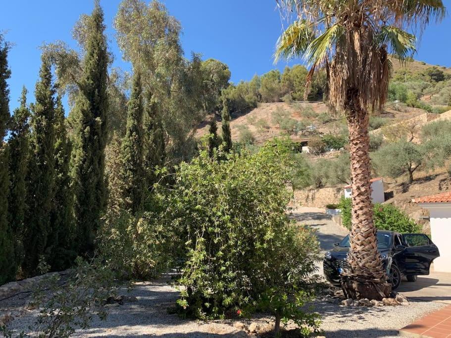 Last Chance For Spring In Competa, Malaga! Apartamento